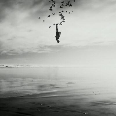 米博体育官方网站入口