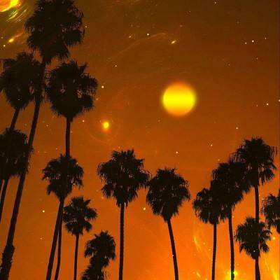 华体会登录手机版手机app下载