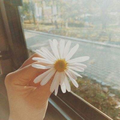 万博官网manbetx-登录入口