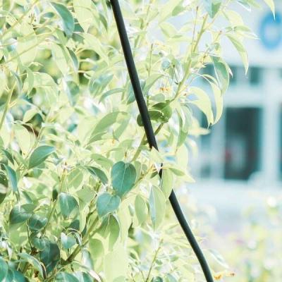 金年会app下载入口