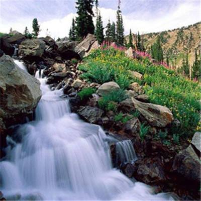 爱游戏app官方网站手机版