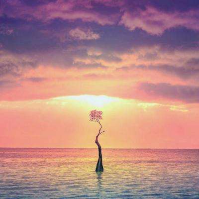 经典牛牛下载手机版